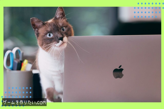 一人称カメラとは